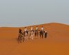 Merzouga desert by riding a camel